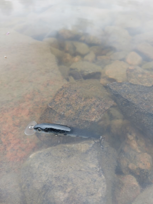 Taiga Lures Saga 7 cm - Image 4