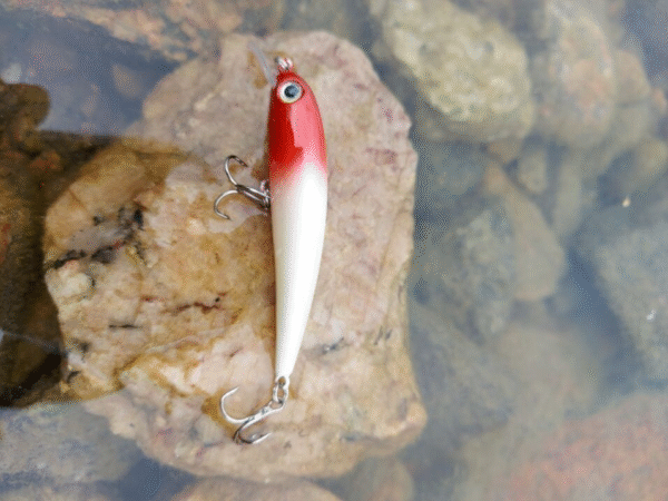 Taiga Lures Saga 7 cm - Image 5