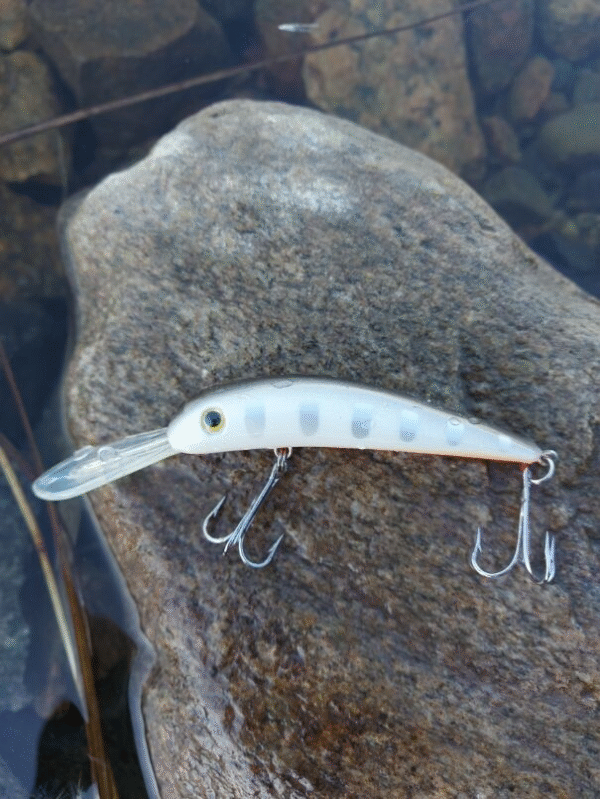 Jakki 10 cm vaappu, pitkä keulalevy ja vetouisteluun - Image 4