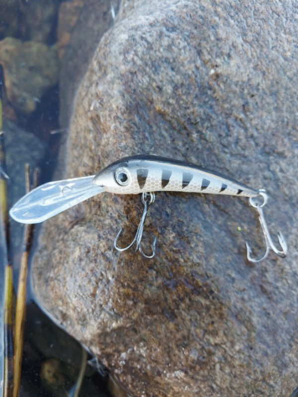 Jakki vaappu 8 cm, pitkä keulalevy ja vetouisteluun - Image 8