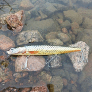 HRT Lures Classic 30 cm 150 g