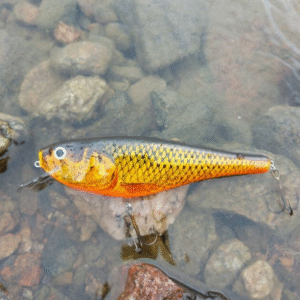 HRT Lures shad viehe 20 cm 127 g