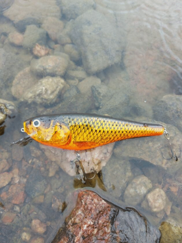 HRT Lures shad viehe 20 cm 127 g