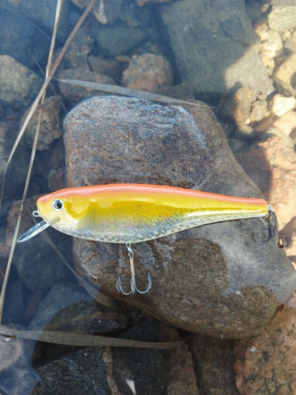 HRT Lures shad viehe 20 cm 127 g - Image 3