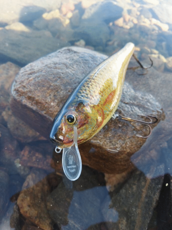 HRT Lures shad viehe 20 cm 127 g - Image 6
