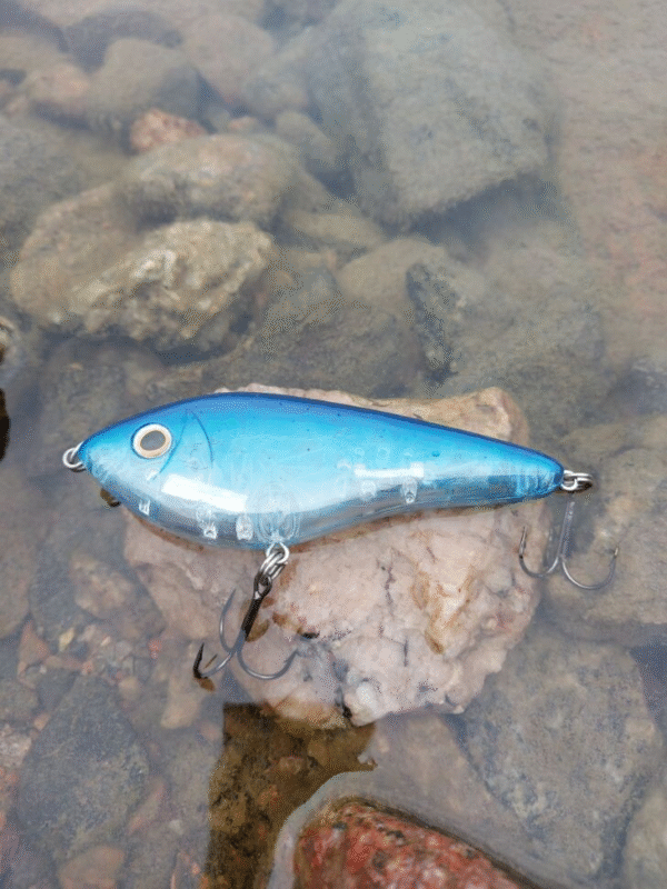 Westin shad jerkki 12 cm 53 g - Image 2
