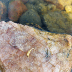 Mormuska toukka 0.5 g