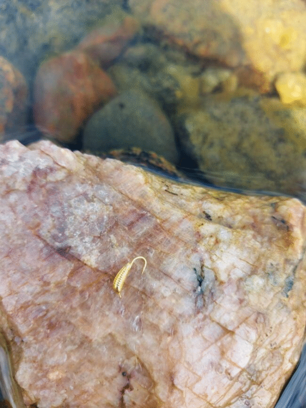Mormuska toukka 0.5 g