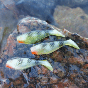 Jigi ahven 5.5 cm 3 kpl