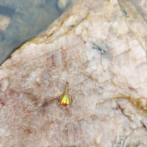 Värikoukku kolmella koukulla pituus 11 mm - 12 mm