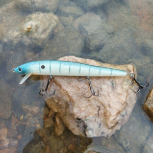 Bagley viehe 13 cm 12 g