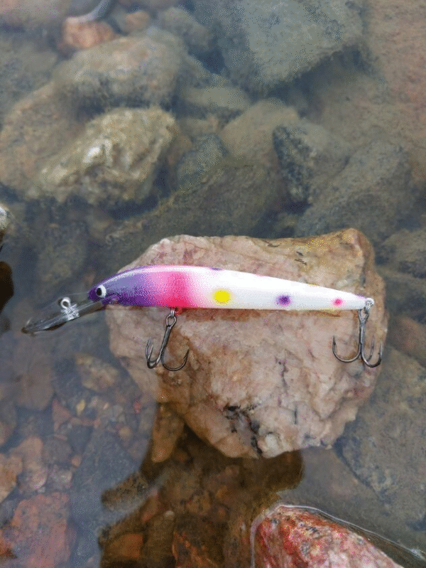 Bagley viehe isolla lipalla 11 cm 12 g