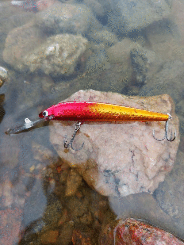Bagley viehe isolla lipalla 11 cm 12 g - Image 2
