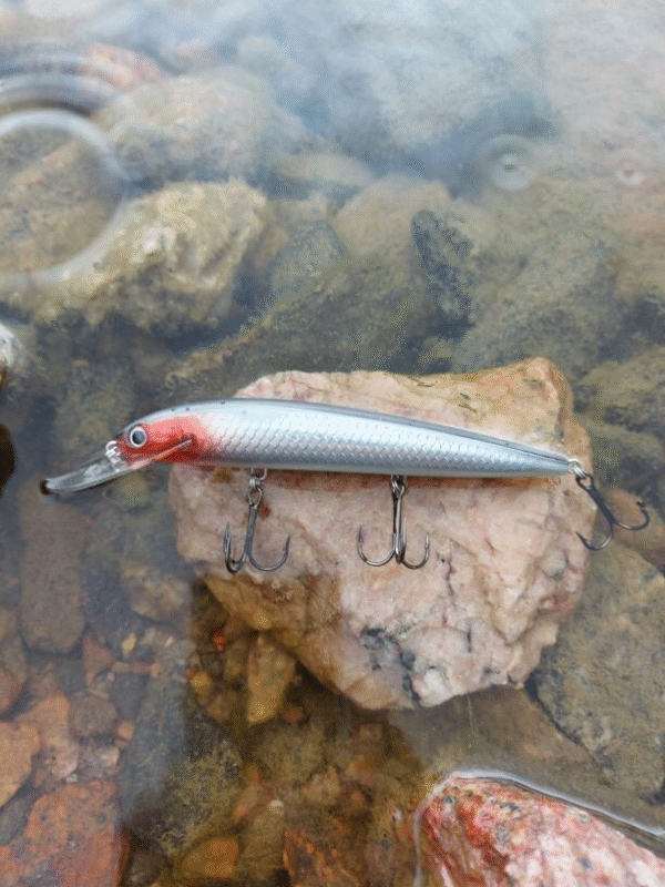 Bagley viehe isolla lipalla 11 cm 12 g - Image 3