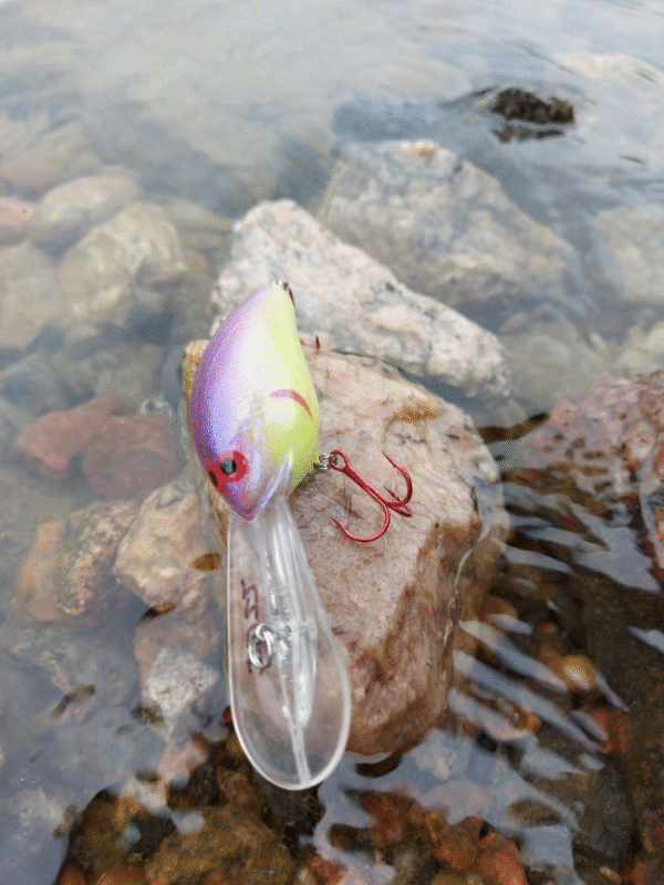 Shad deep syvänne 28 g 8 cm - Image 9