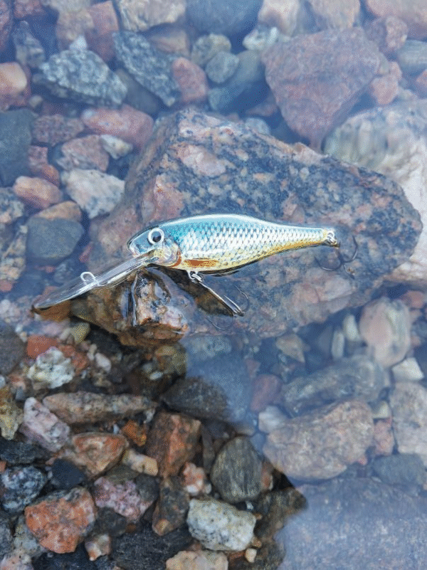 Shad deep syvänne 28 g 8 cm - Image 10