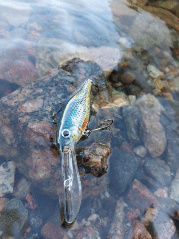 Shad deep syvänne 28 g 8 cm - Image 11
