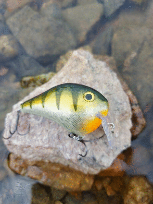 Rapala DT-FAT 7 cm - Image 3