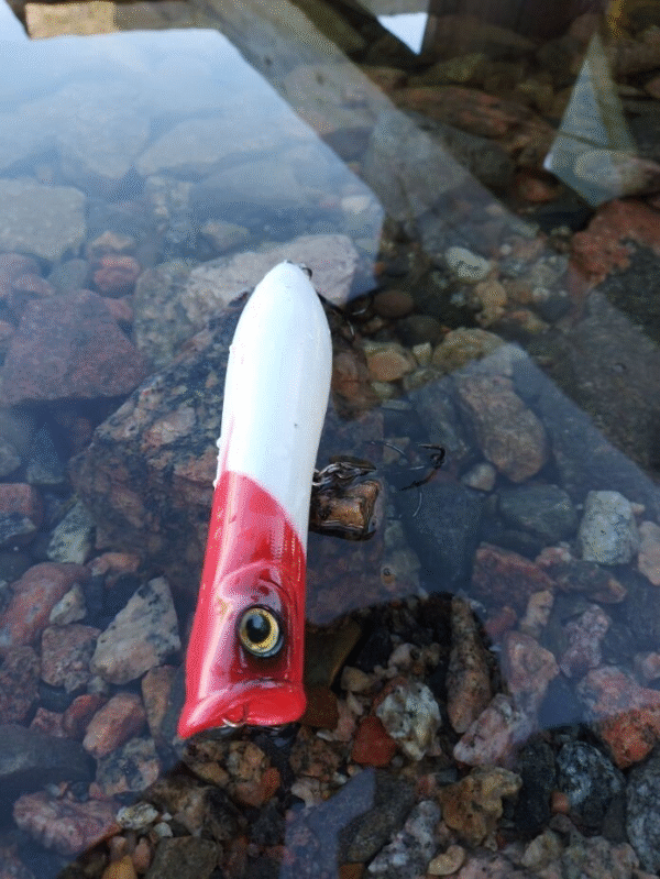 Slammer popperi iso 20 cm 120 g