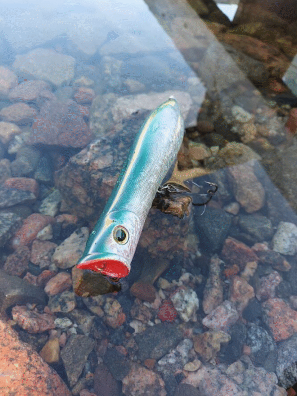 Slammer popperi iso 20 cm 120 g - Image 5