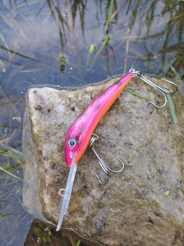 Jakki 8 cm uusi värivalikoima pitkä lippa ja vetouisteluun - Image 3