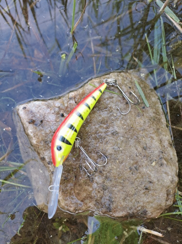 Jakki 8 cm uusi värivalikoima pitkä lippa ja vetouisteluun - Image 4