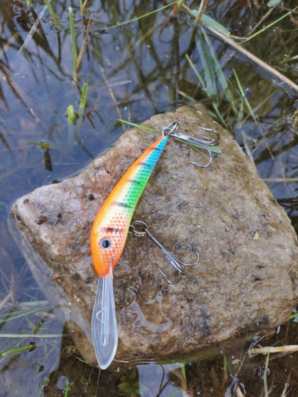 Jakki 8 cm uusi värivalikoima pitkä lippa ja vetouisteluun - Image 6