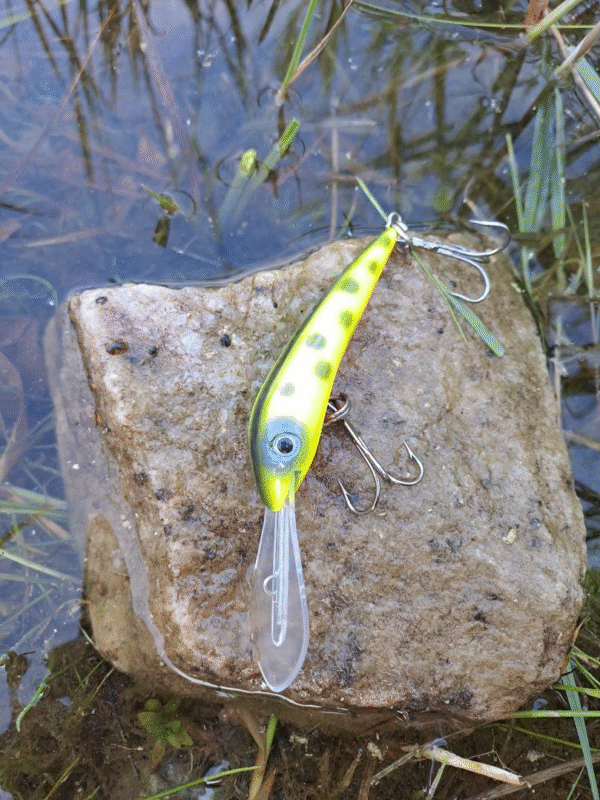 Jakki 8 cm uusi värivalikoima pitkä lippa ja vetouisteluun - Image 8